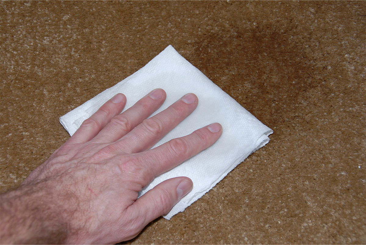 a hand using a paper towel on the spilled area