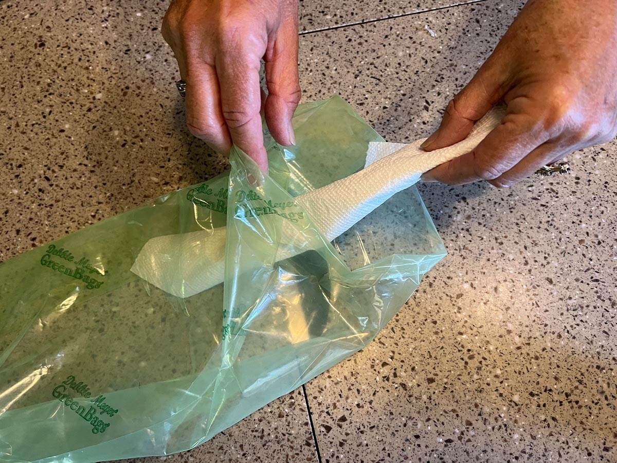a paper towel is used to blot excess moisture in an empty Debbie Meyer Green Bag