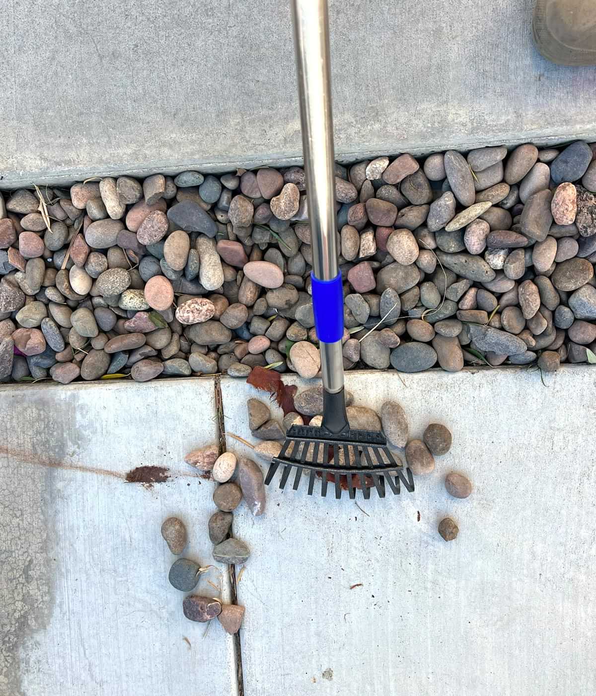 top view of the rake being used to clear stones from a pathway