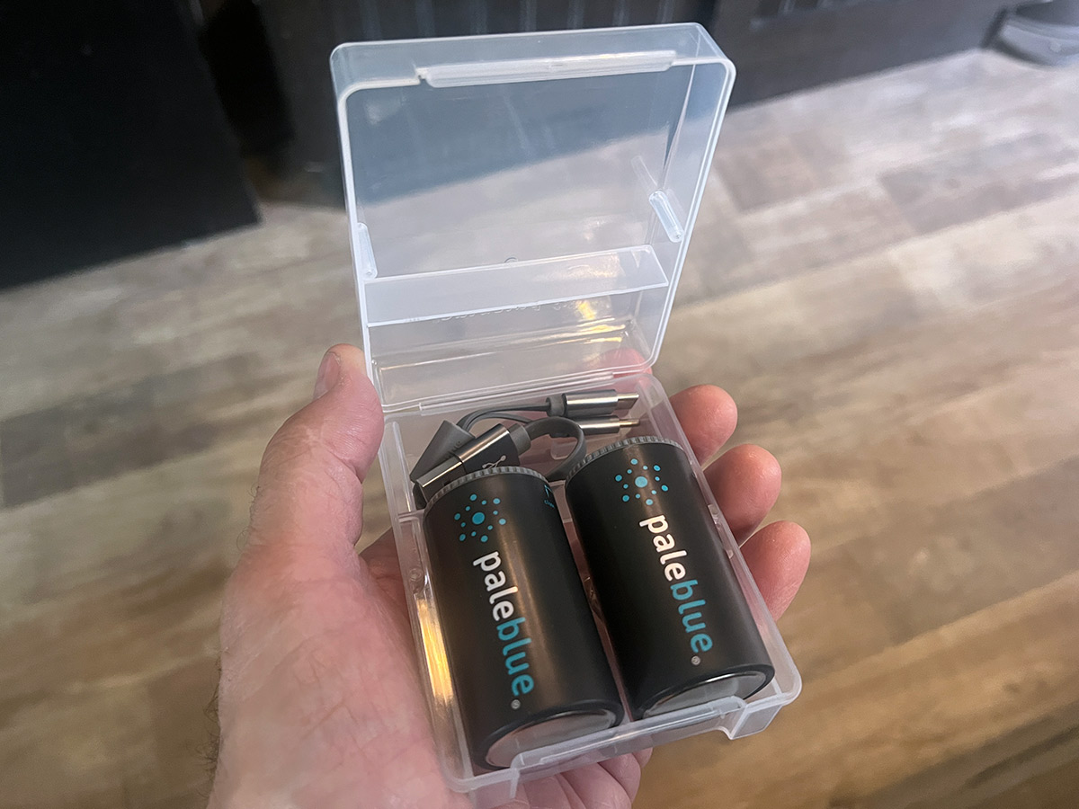 a hand holds two Pale Blue Earth rechargeable lithium D batteries and a USB-C charging cord in a plastic container