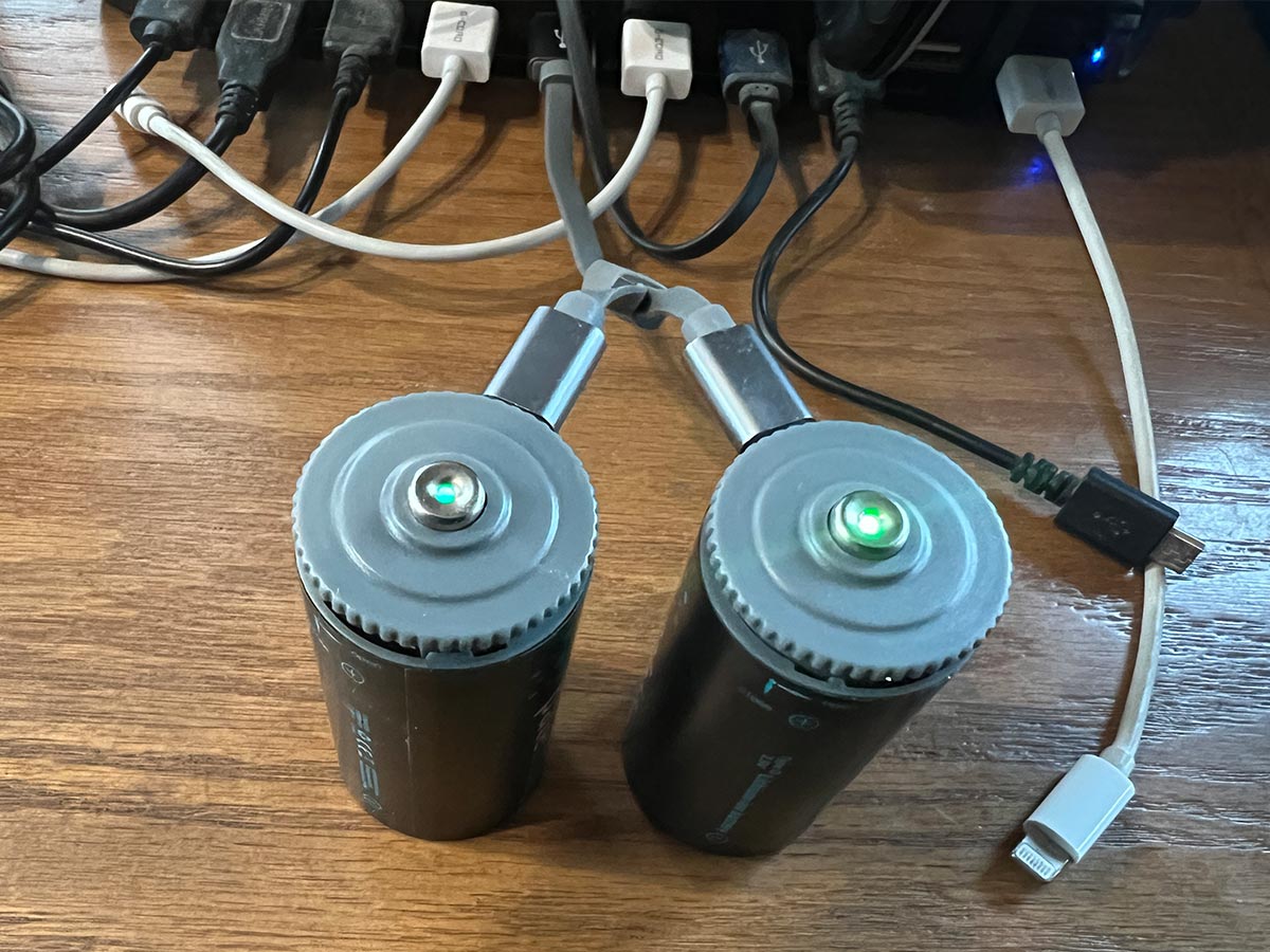 close view of two type D Paleblue batteries, connected to a charging cord, each with a green LED light shining in the center