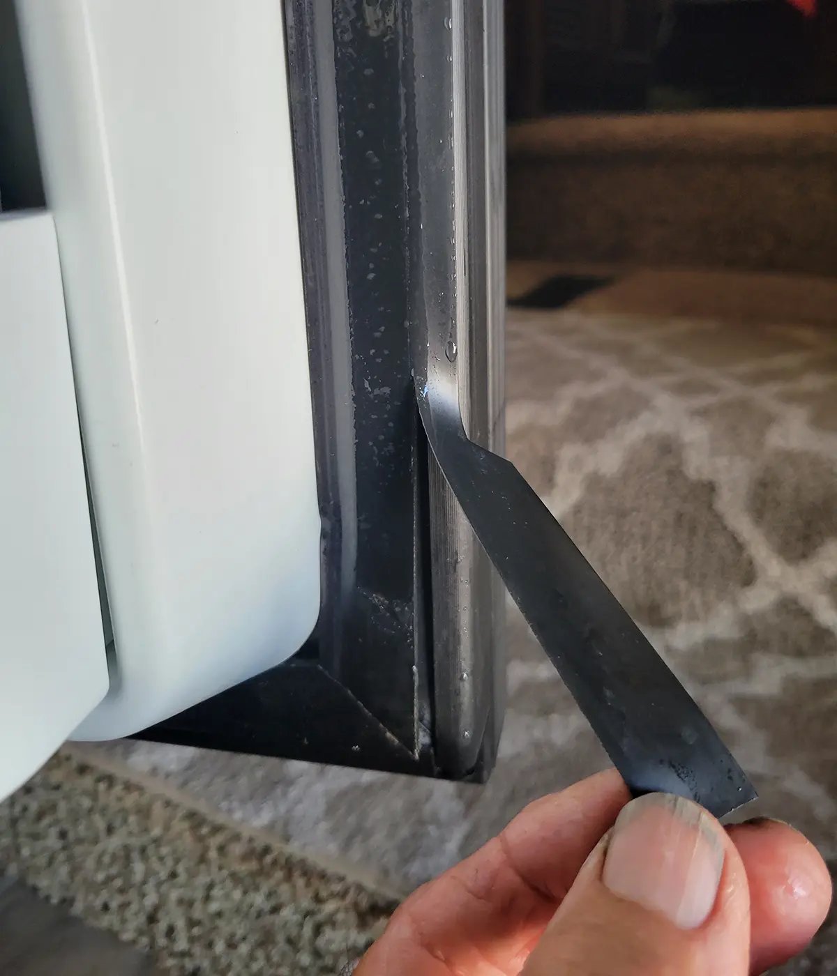 close view of a hand lifting a deteriorated piece of gasket hanging from a refrigerator door